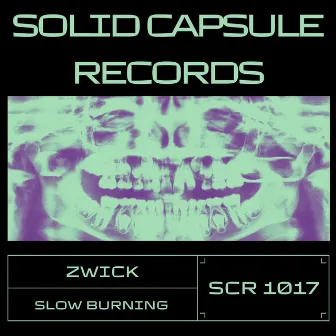 Slow Burning by Zwick