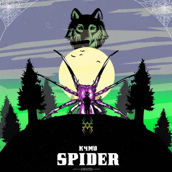 Spider by K4mo