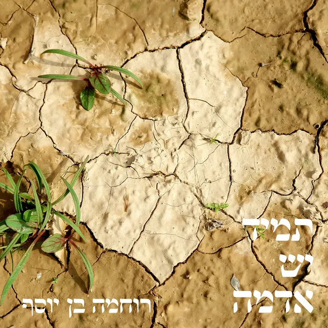 תמיד יש אדמה