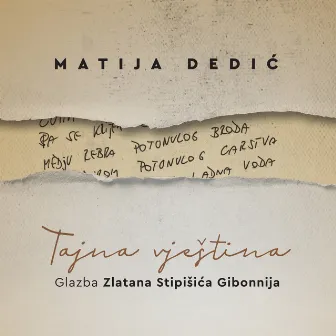 Tajna vještina - glazba zlatana stipišića gibonnija by Matija Dedić