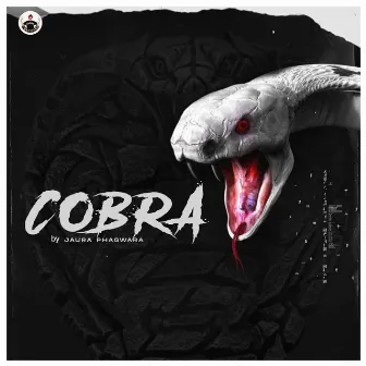 Cobra by Jaura Phagwara