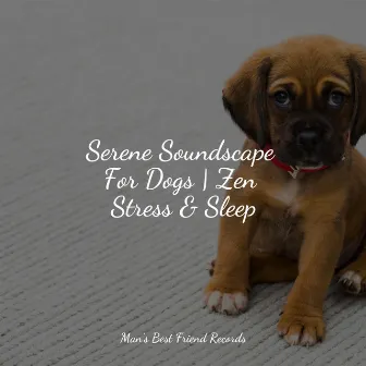 Mindful Living Tunes For Dogs | Sleep by Sleep Music For Dogs