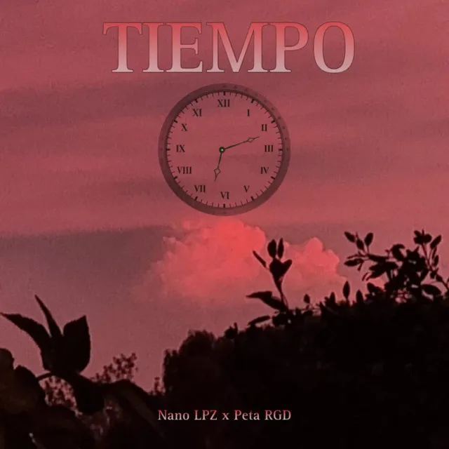 TIEMPO