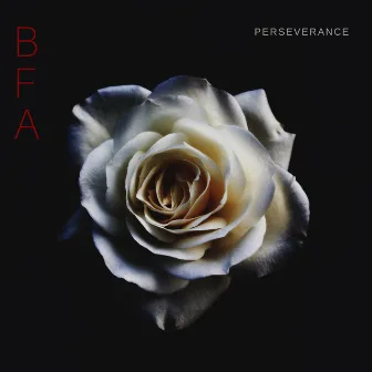 Perseverance by BFA