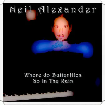 Where Do Butterflies Go In The Rain by Neil Alexander