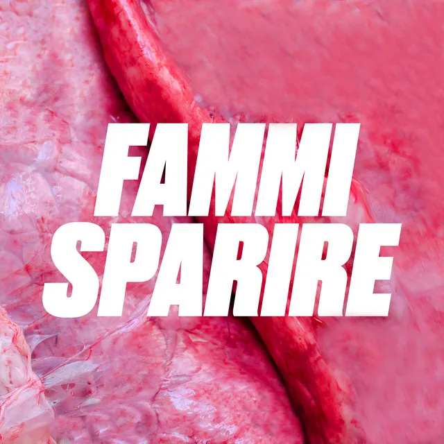 Fammi sparire