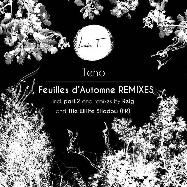 Feuilles d'automne - Reig (FR) Remix