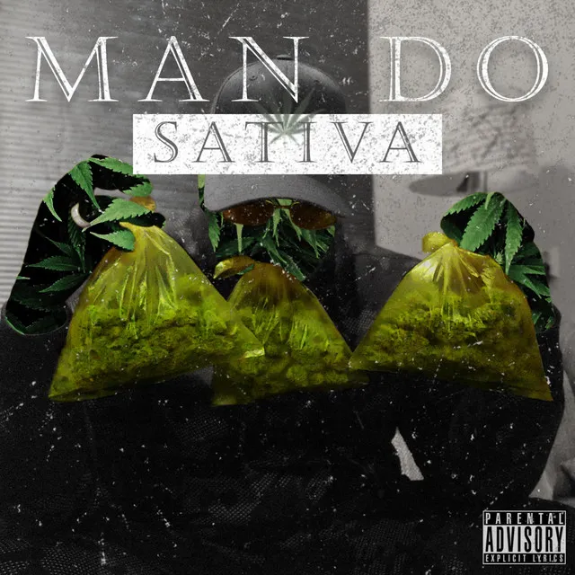 Sativa