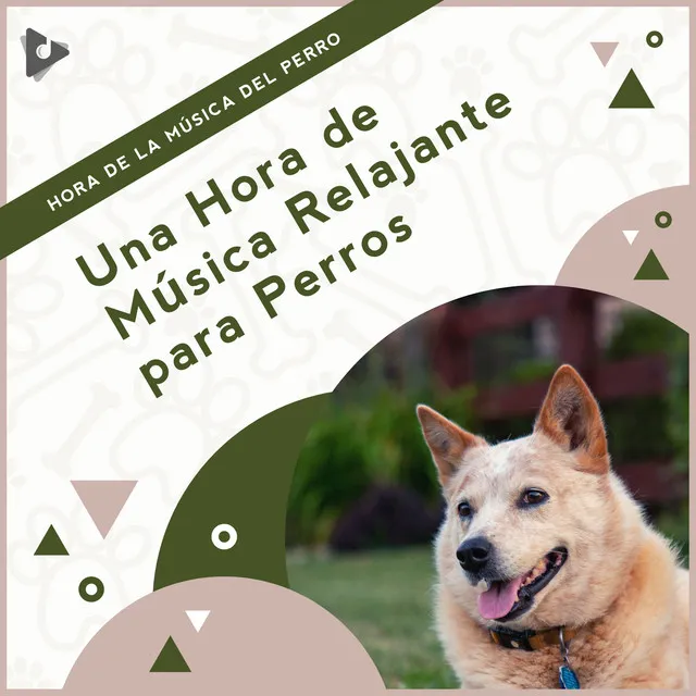 Música Calmante para Cachorros