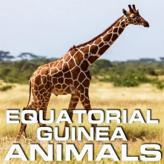 Equatorial Guinea Animals by Animals Life Sounds