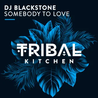 Somebody to Love (Radio Edits) by DJ Blackstone