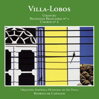 Villa-Lobos by Rodrigo De Carvalho