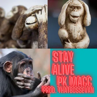 Stay Alive by PK MACC