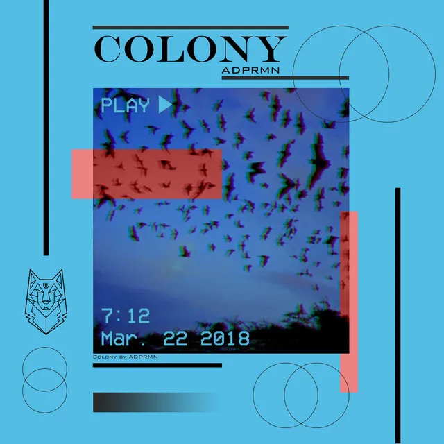 Colony