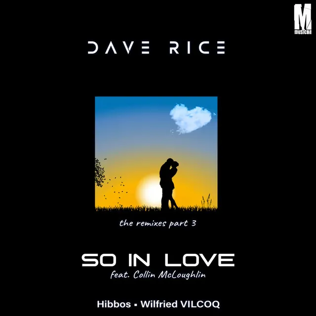 So in Love - Wilfried VILCOQ Remix