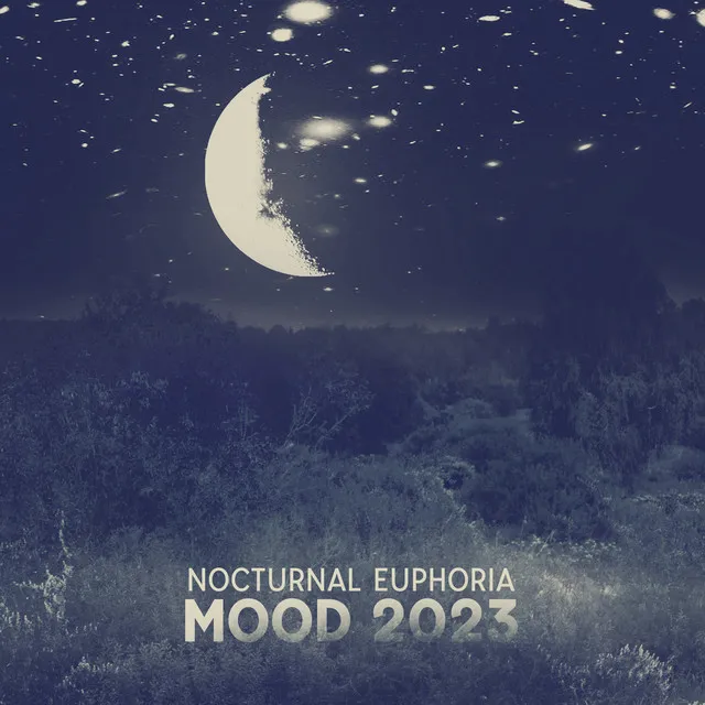 Nocturnal Euphoria Mood 2023