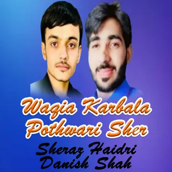 Waqia Karbala Pothwari Sher by 