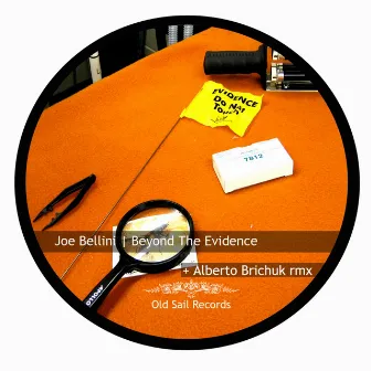 Beyond The Evidence by Joe Bellini