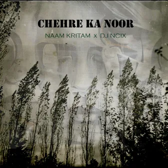 Chehre Ka Noor by Naam Kritam