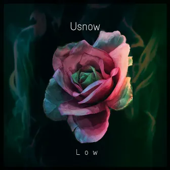 Low by Usnow