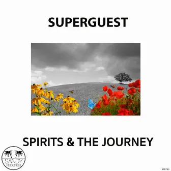 Spirits & The Journey by Superguest