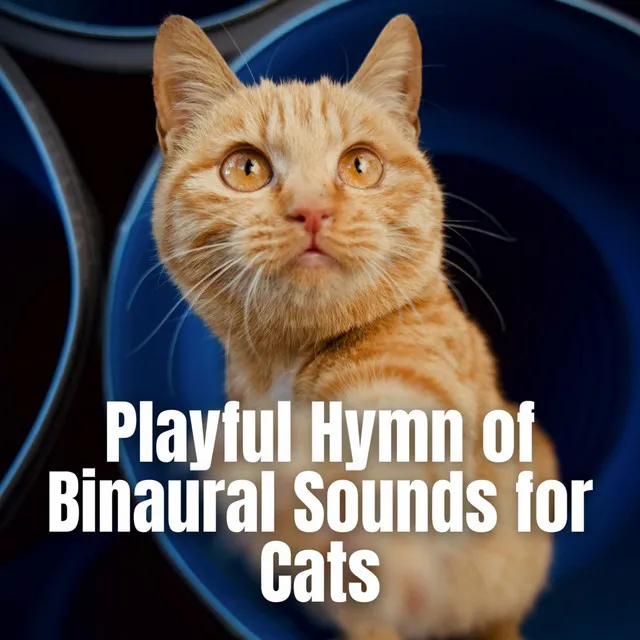 Playful Hymn of Binaural Sounds for Cats