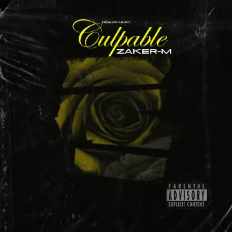 Culpable by ZAKER-M