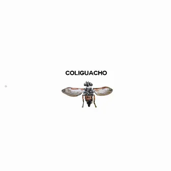 Coliguacho by Coliguacho