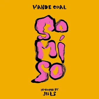 So Mi So by Wande Coal