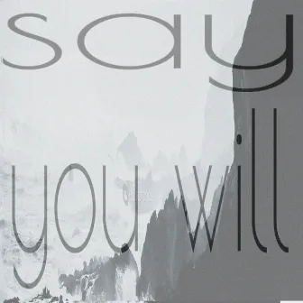 Say you will by Collie