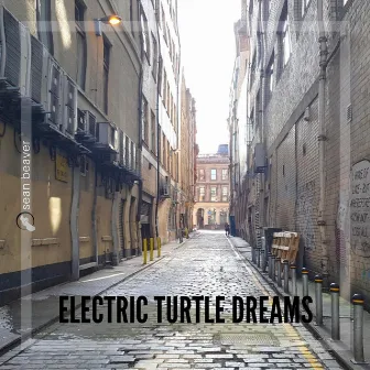 Electric Turtle Dreams by Sean Beaver