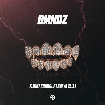 DMNDZ (feat. Satya Valli) by Flight School