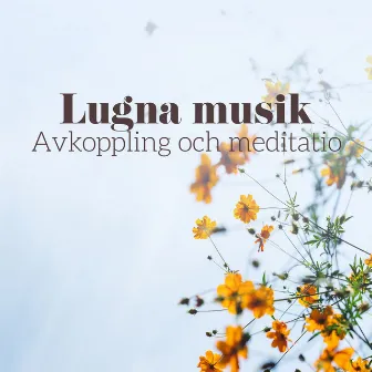 Lugna musik – Avkoppling och meditation: Naturen låter för djup sömn, Koncentration, Stresslindring by Avslappnande Meditation Akademi