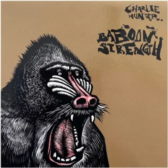 Baboon Strength by Charlie Hunter