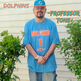 Dolphins by Professor Tone & Family/ Trinity Kings