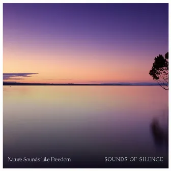 Sounds of Silence by Nature Sounds Like Freedom