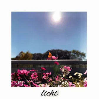 Licht by DAIKI