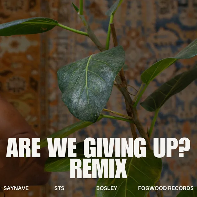 Are We Giving Up - Remix