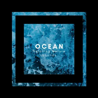 Relaxing Nature Sounds: Ocean by ASMR Ocean Waves