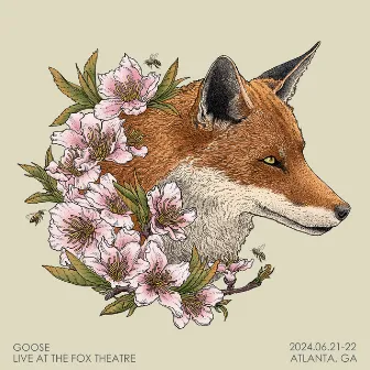 Live at The Fox Theatre by Goose