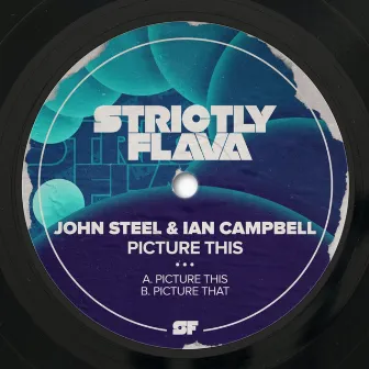 Picture This by John Steel