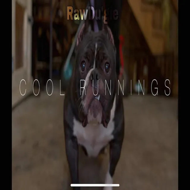 Cool Running