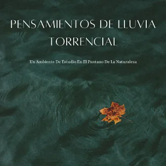 Pensamientos De Lluvia Torrencial: Un Ambiente De Estudio En El Pantano De La Naturaleza by Estudiar Música y Sonidos