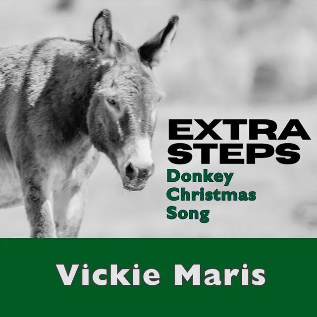 Extra Steps (Donkey Christmas Song)