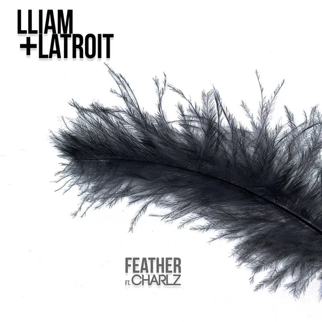 Feather