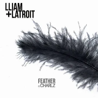 Feather by Lliam + Latroit