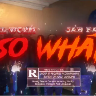 So What by Lil Worm