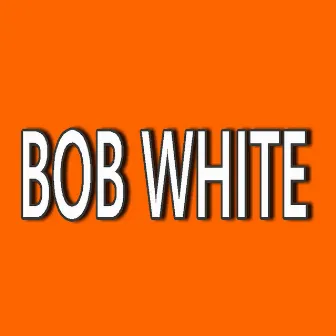 Bob White by Ricky Brown