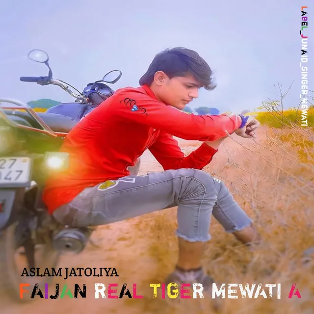 Faijan Real Tiger Mewati A