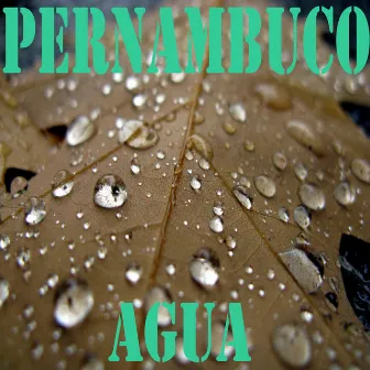 Agua by Pernambuco